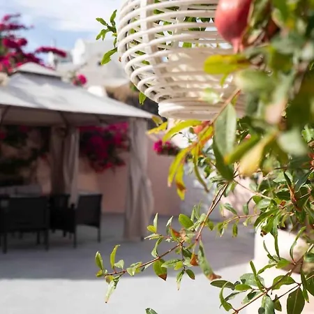 Bird Nest-santorini Cave 산토리니