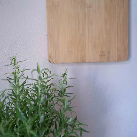 Bird Nest-santorini Cave Tatil Evi Fira (Santorini)