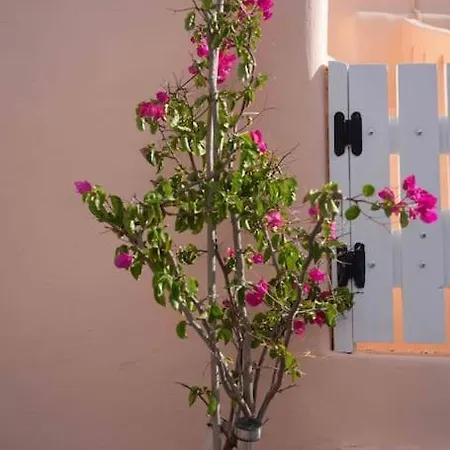 Tatil Evi Bird Nest-santorini Cave