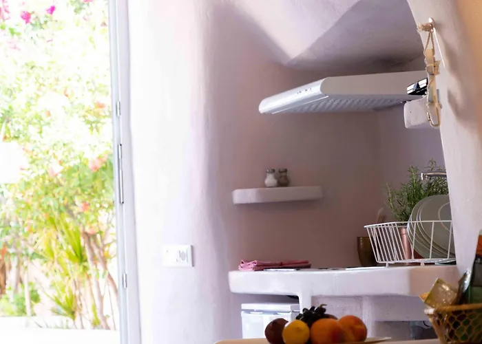 Bird Nest-santorini Cave *