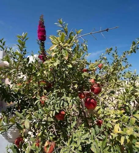 بيت للعطل Bird Nest-santorini Cave