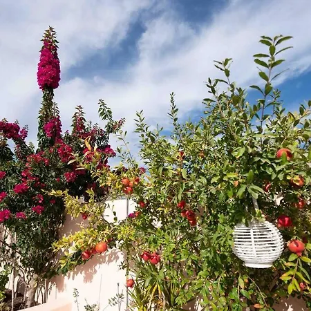 Bird Nest-santorini Cave