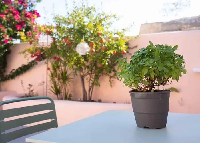 Bird Nest-santorini Cave