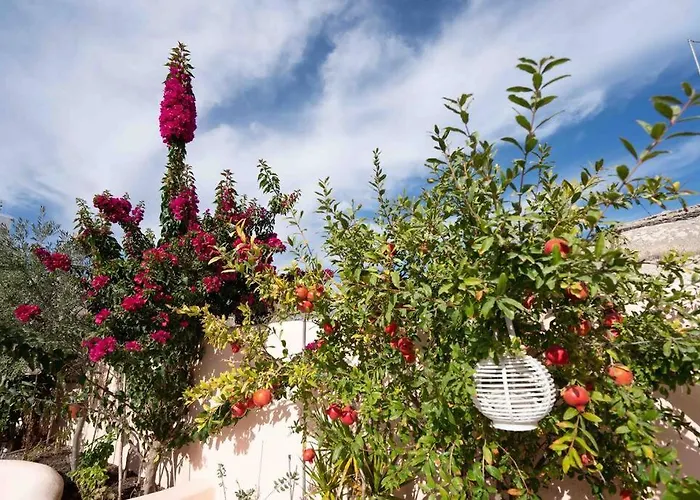 Bird Nest-santorini Cave