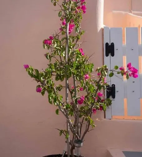 بيت للعطل Bird Nest-santorini Cave